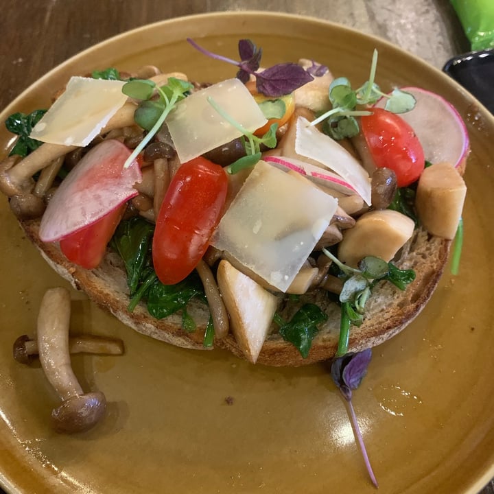 Dutch Colony Coffee Co. Bedok, Singapore Mushroom Toast Review abillion