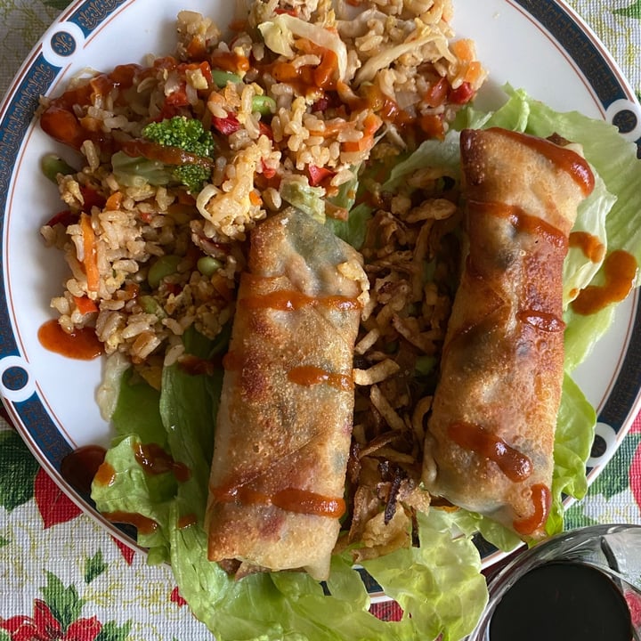 Nasoya Vegan Egg Roll Wraps Review abillion