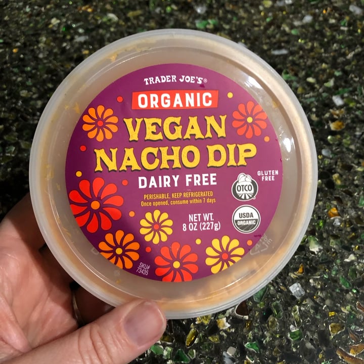 Trader Joe's Vegan Nacho Dip Review abillion