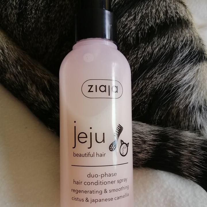 Ziaja JEJU Schwarzes Peeling 200 Ml - Körperpeeling Mit Minze & Granatapfel Für Junge Haut