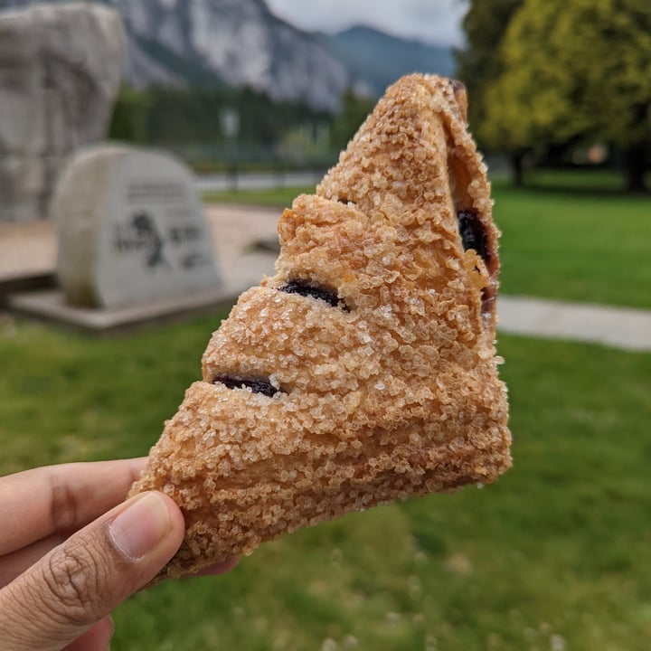 Sunflower Bakery Café Squamish, Canada Blueberry Turnover Review abillion