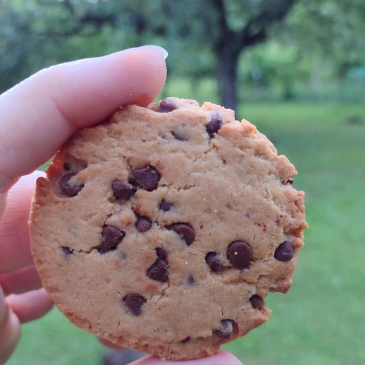 Le Moulin Du Pivert Cookies P Pites Review Abillion