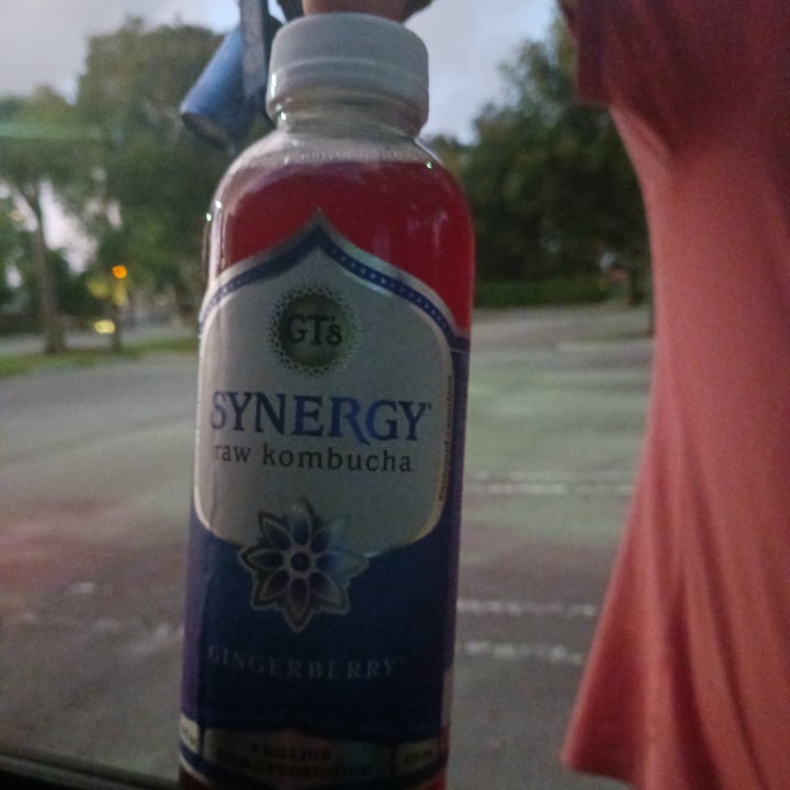 GT’s Synergy Kombucha Gingerberry Review abillion