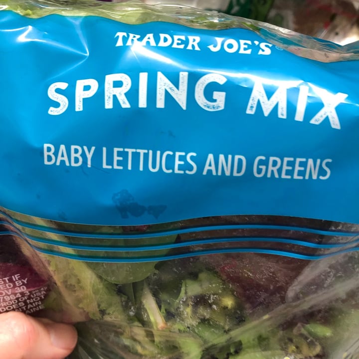 Trader Joe's Spring mix baby lettuces and greens Reviews abillion