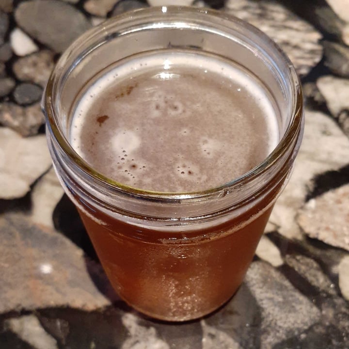 Lazy Dog Restaurant & Bar Boca Raton, United States Sunspanked Red