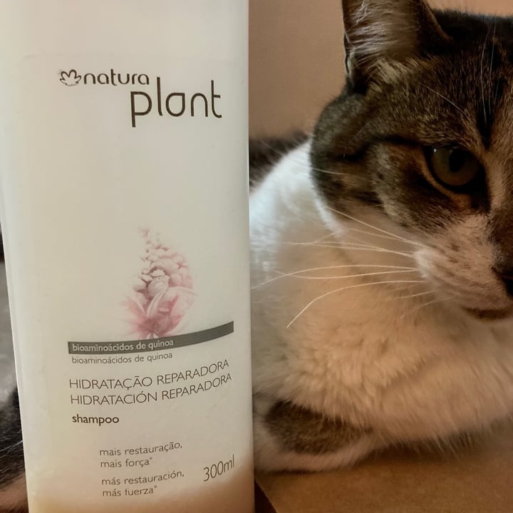 Natura Plant Shampoo Bioaminoacidos De Quinoa Reviews abillion
