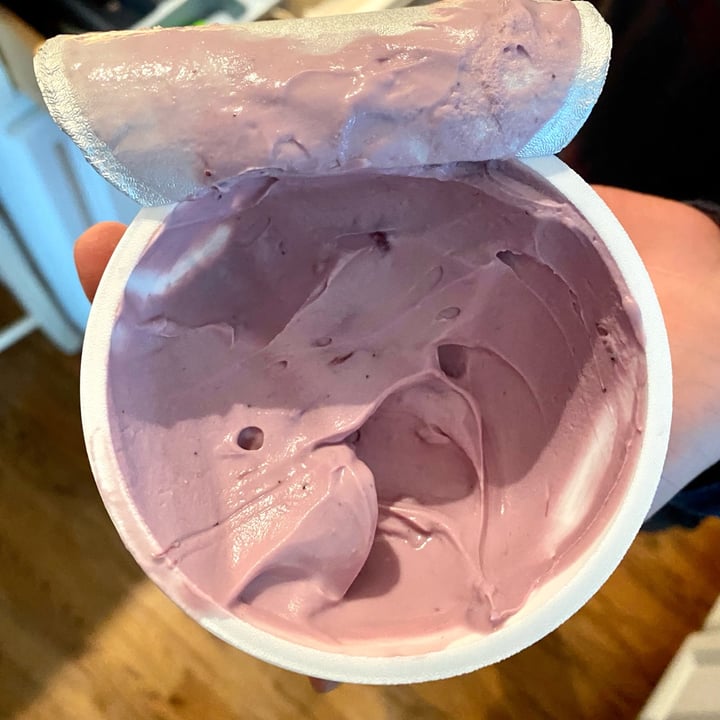 Silk Greek Style Yogurt Alternative Blueberry Reviews abillion