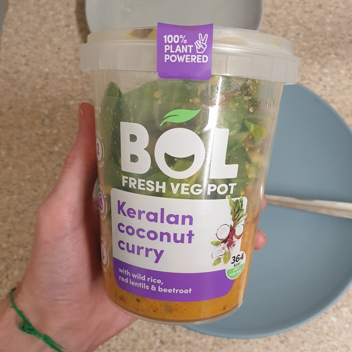 BOL Keralan Coconut Curry Veg Pot Reviews abillion