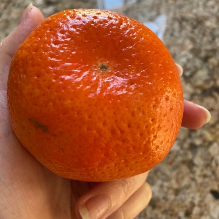 Pick n Pay Soft citrus Review abillion