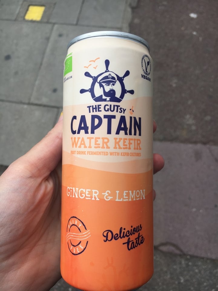 The Gutsy Captain Water Kefir Ginger and Lemon Reviews abillion