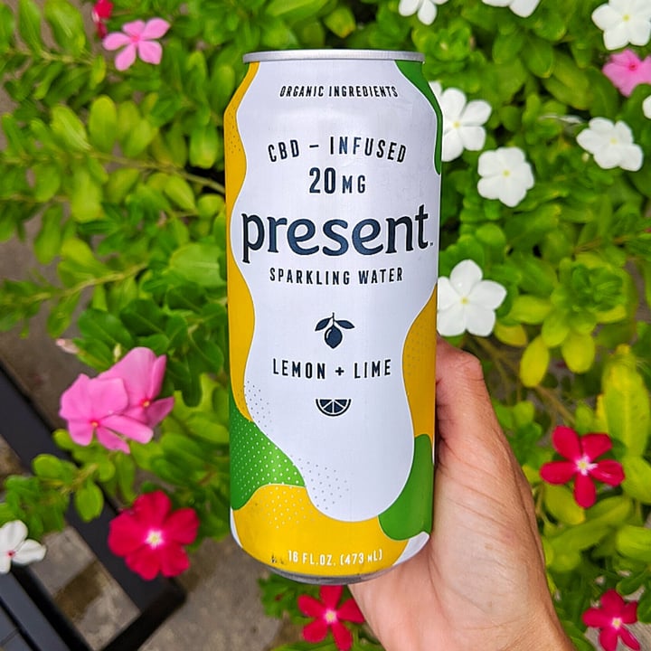 Present Sparkling Water Lemon + Lime Review abillion
