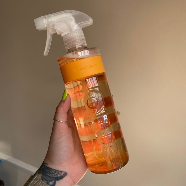 Smol Multipurpose Surface Spray Review abillion