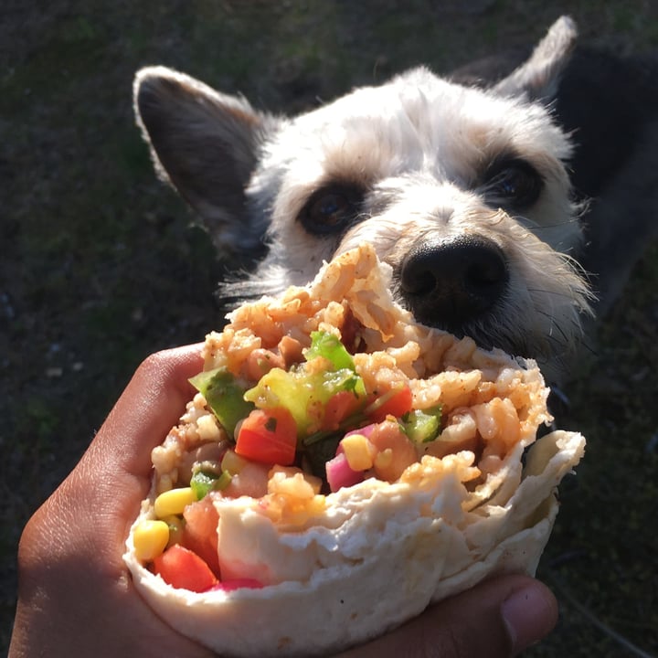 QDOBA Mexican Eats Veggie Burrito Reviews abillion