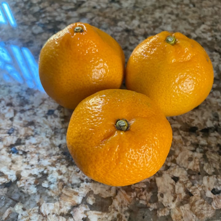 Spar Satsumas Review abillion