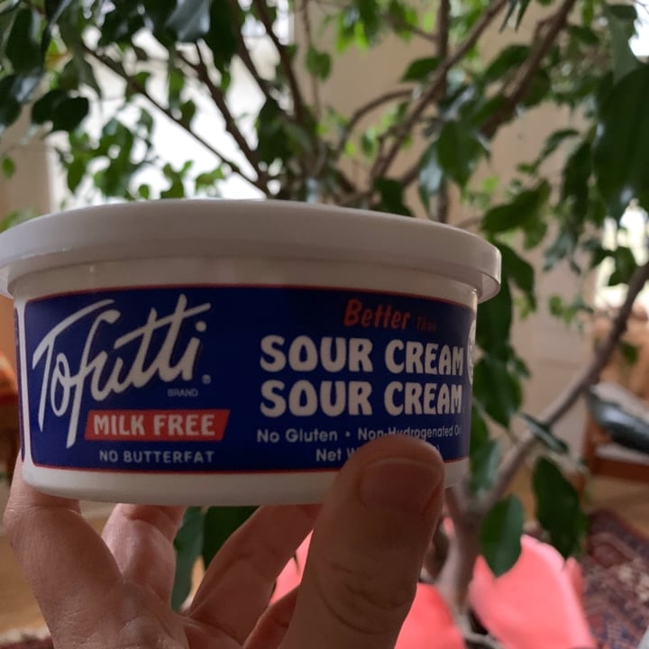 Tofutti Better than Sour Cream Review abillion