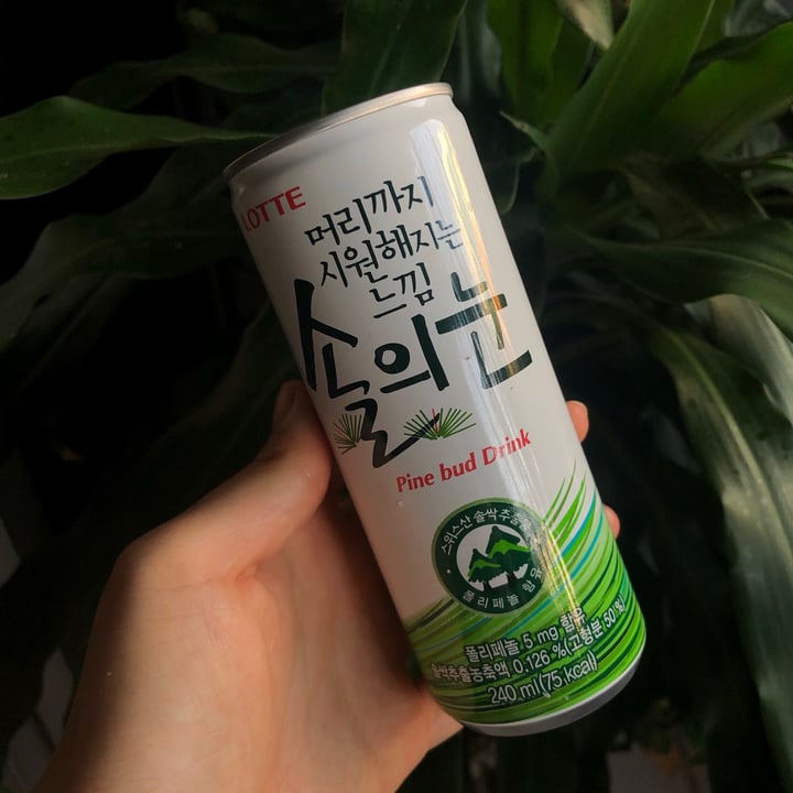 Lotte Pine Bud Drink Review | abillion
