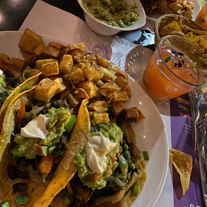 Lupita Mexican Bar Palermo Hollywood, Palermo, Argentina Tacos Review