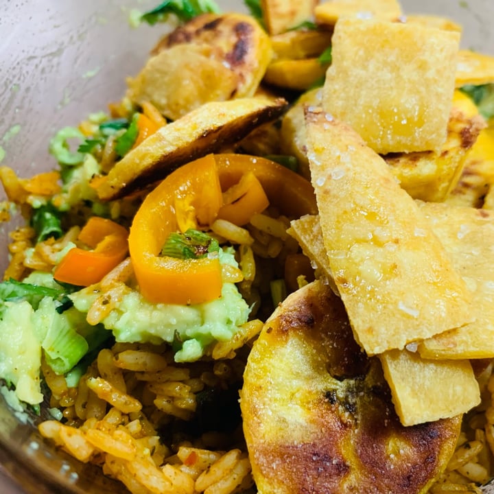 Purple Carrot Loaded Taco Bowl Review abillion