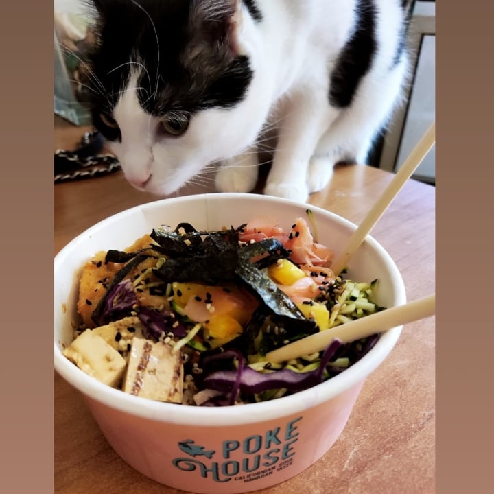 Poke house Poke vegano con tofu Reviews abillion