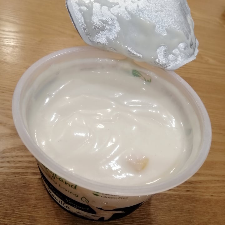 Kingland Dairyfree Yoghurt Vanilla Review abillion