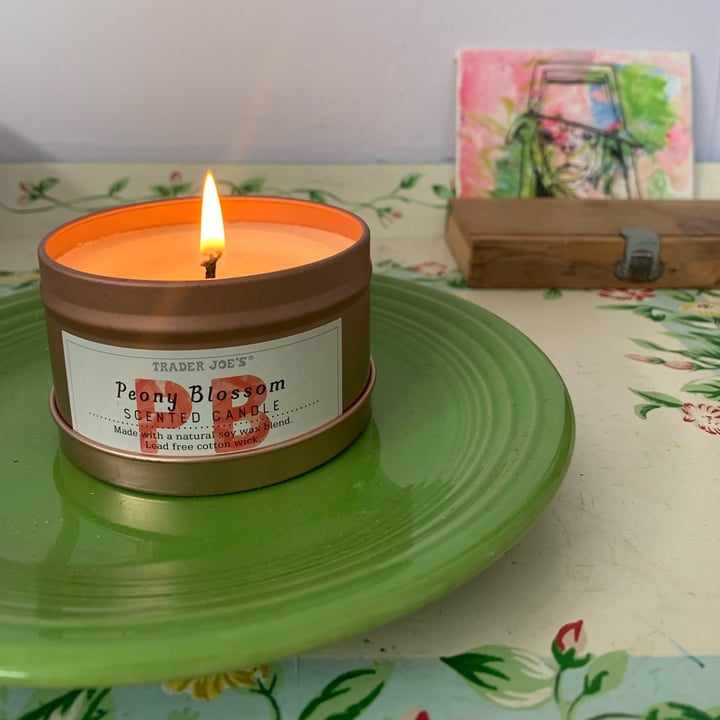 Trader Joe's Peony Blossom Scented Candle Reviews abillion