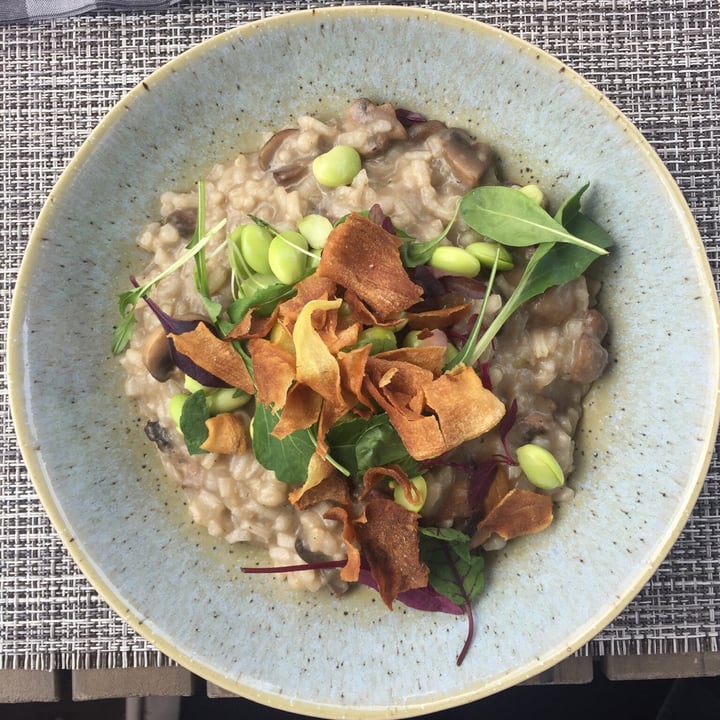 Mont Marie Restaurant Stellenbosch, South Africa Mushroom Risotto