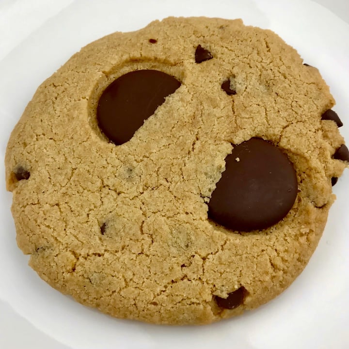 Baby Ketten Klub Portland, United States Chocolate