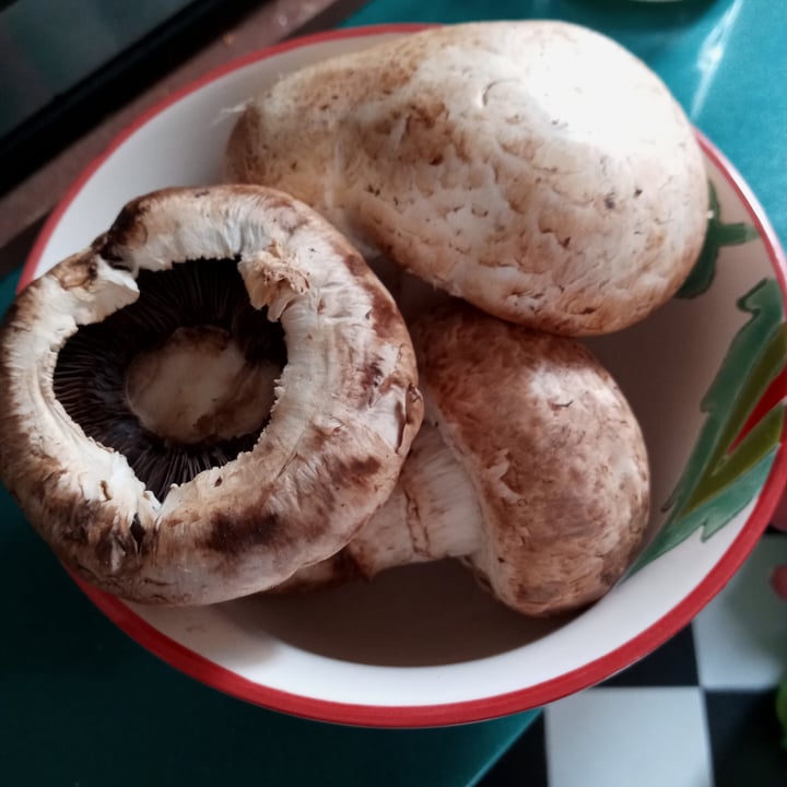 Unión De Trabajadores De La Tierra Portobellos frescos Reviews abillion