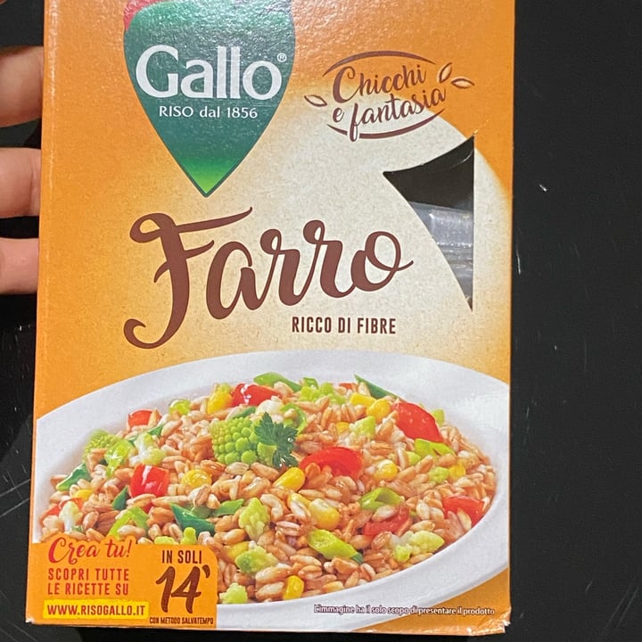 Gallo Farro Review abillion