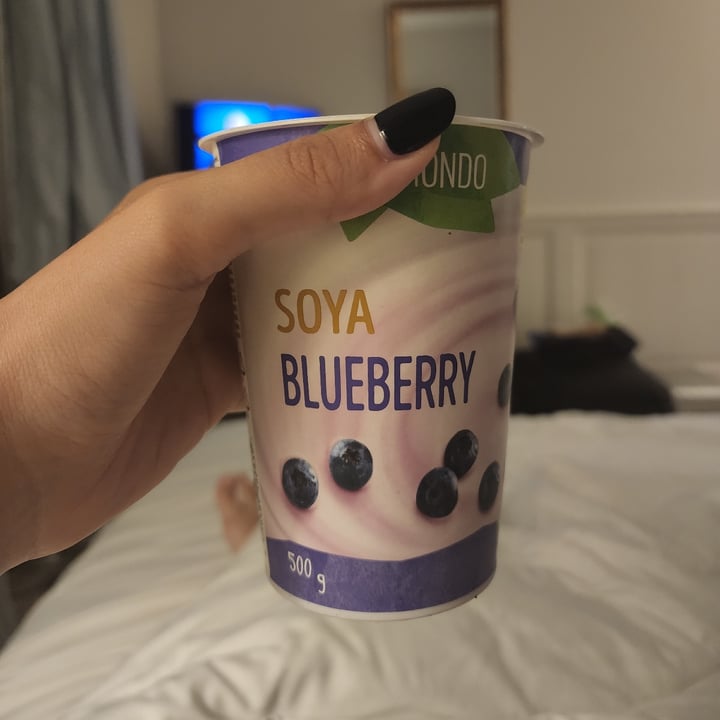 Vemondo blueberry soy yogurt Review abillion