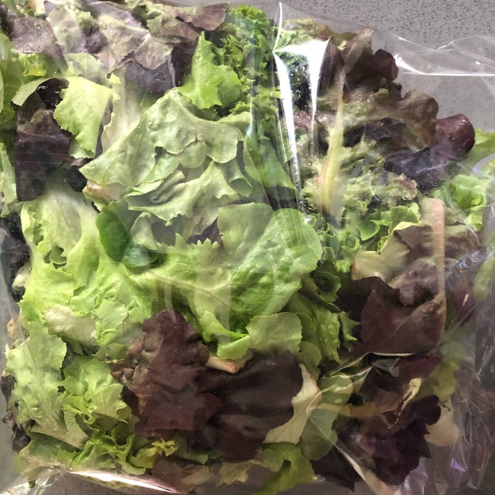 Urbanfoods Mixed lettuce Review abillion