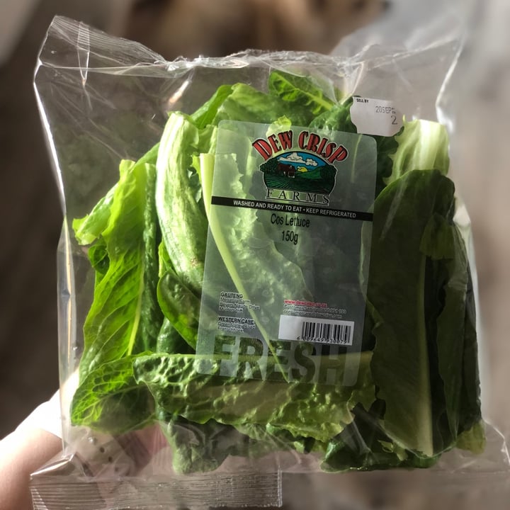 Dew crisp Cos Lettuce Review | abillion