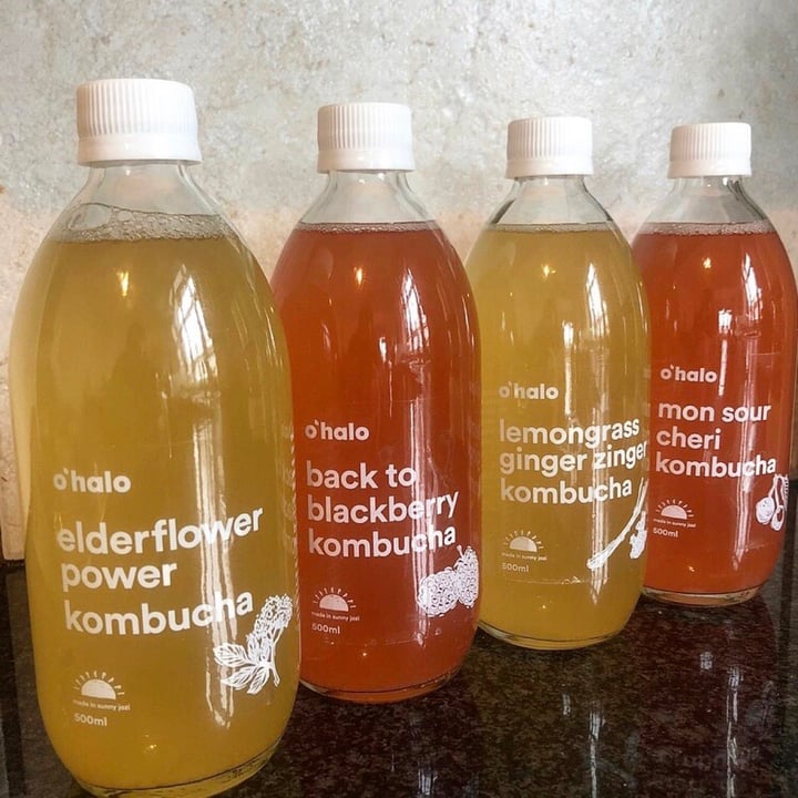 O’halo Mon Sour Cheri kombucha Review abillion