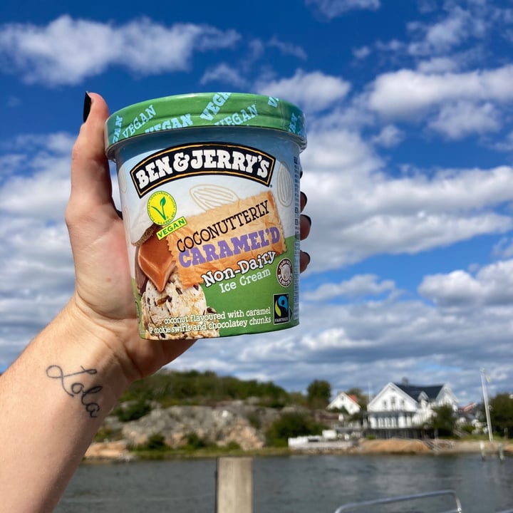 Ben & Jerry's Coconutterly Caramel’d NonDairy Ice Cream Review abillion