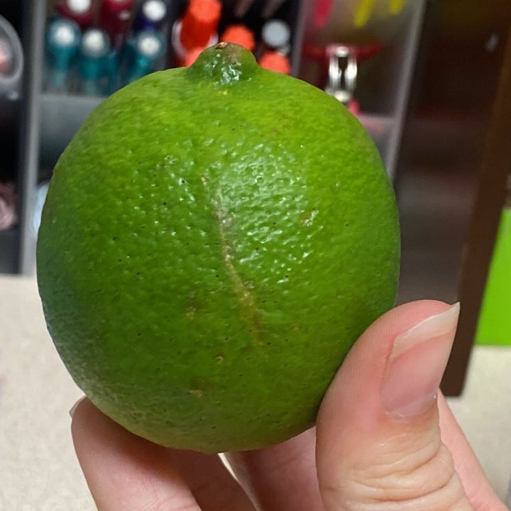 Publix Lime Review abillion