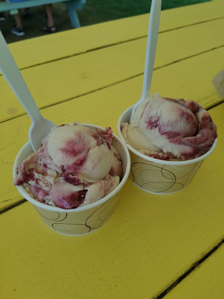 Dairy Haus Oat Raspberry Pancake Ice Cream Reviews abillion