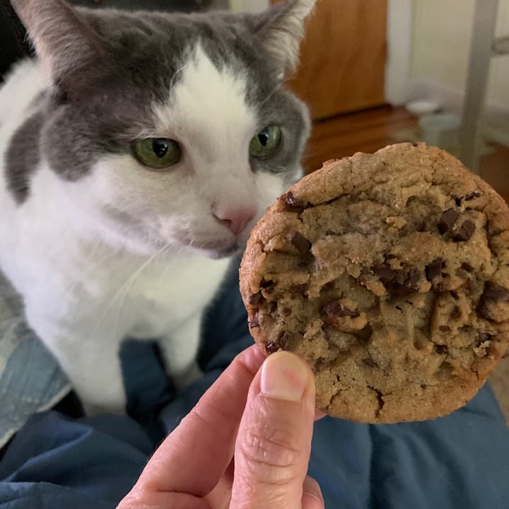 Insomnia Cookies Bloomington, United States Vegan Chocolate Chunk