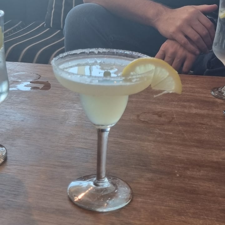 Alba Easy Lounge margarita Reviews abillion