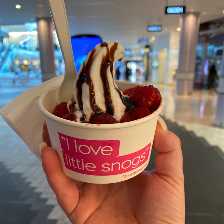 Snog Frozen Yogurt, Shepherd's Bush, United Kingdom Reviews abillion
