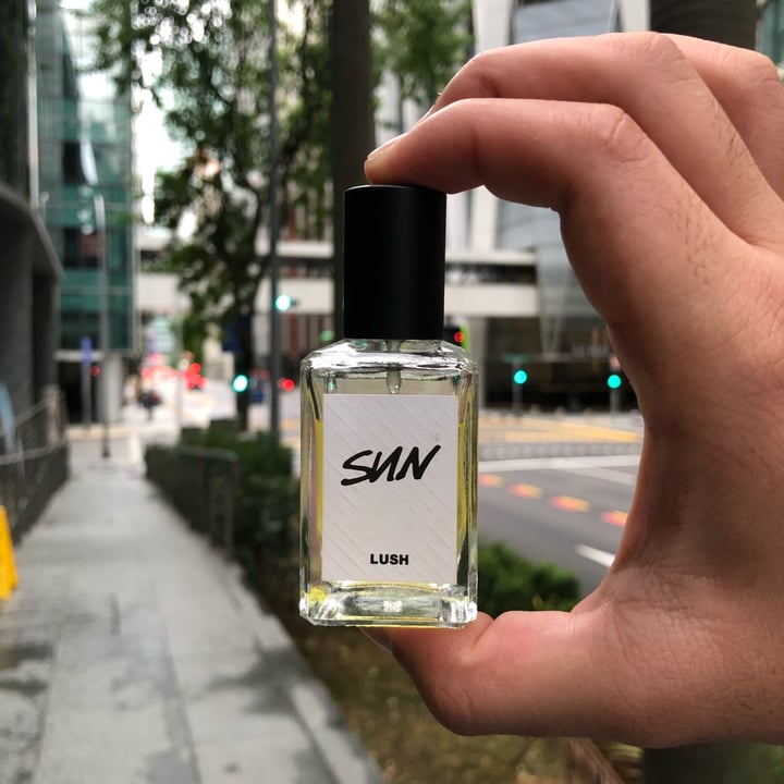 LUSH Fresh Handmade Cosmetics Perfume Review abillion