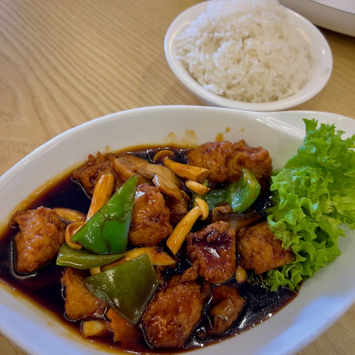 Greenland Vegetarian Restaurant Hougang, Singapore Gong Bao Cutlet Rice