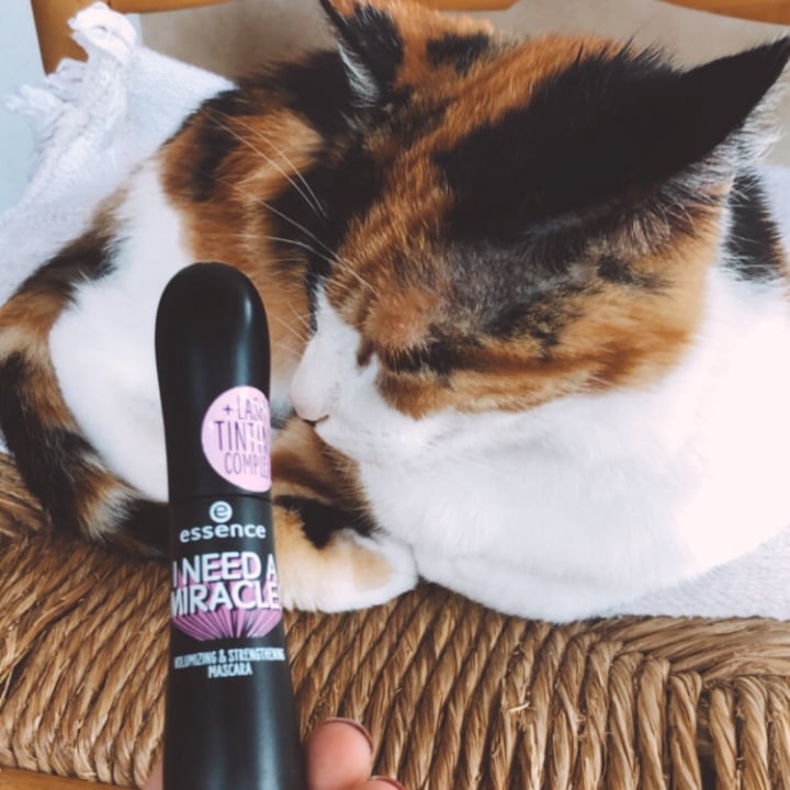 essence cosmetics Máscara I Need A Miracle Review abillion