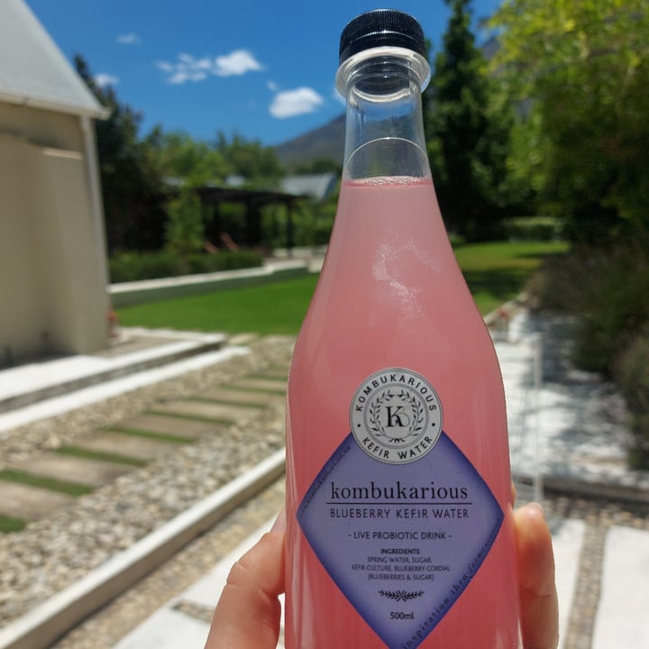 Kombukarious Blueberry Kefir Water Review abillion