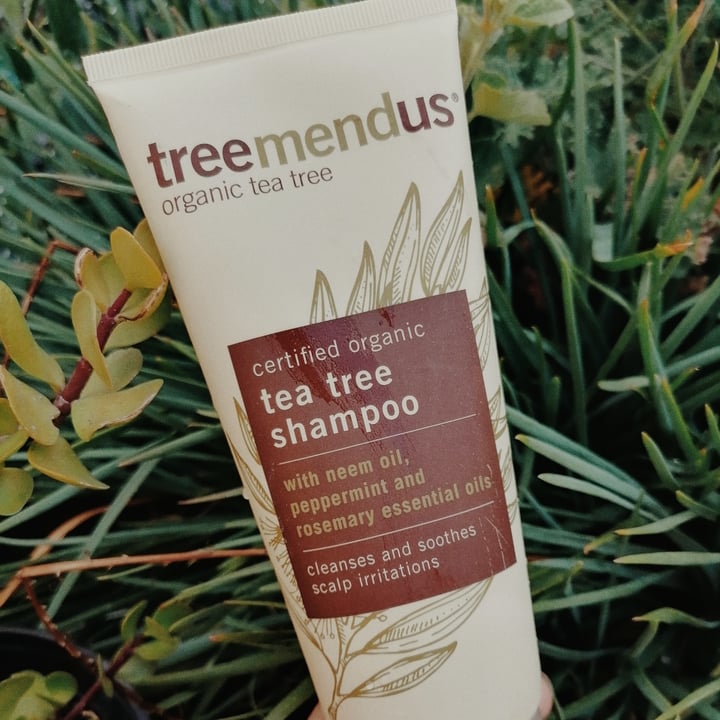 Treemendus Tea Tree shampoo Review abillion