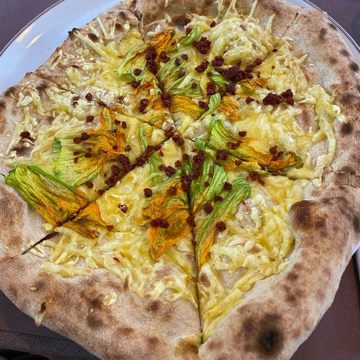 Mani in Pasta Pizza con fuori di zucca e vegan cheese Reviews abillion