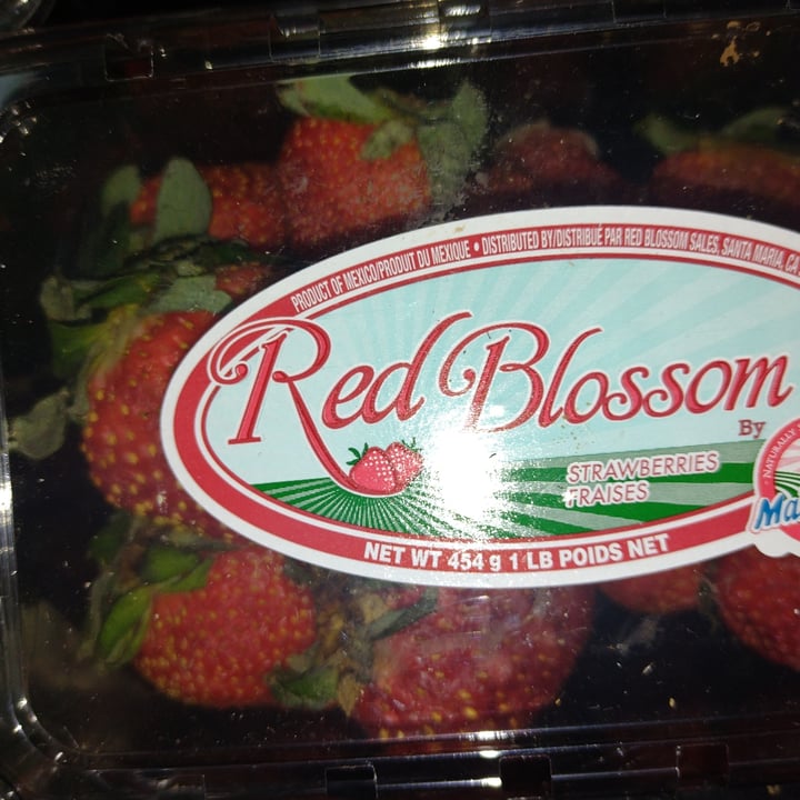 red blossom Reviews abillion