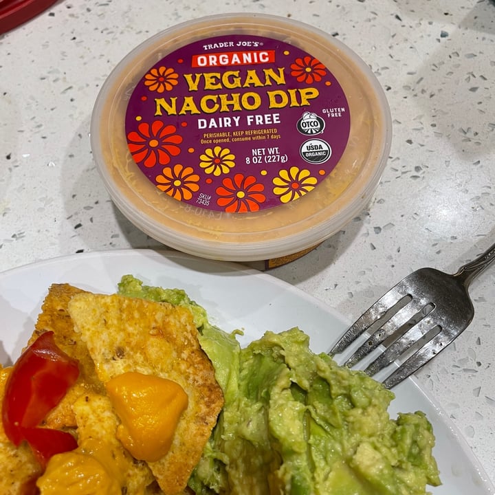Trader Joe's Vegan Nacho Dip Review abillion