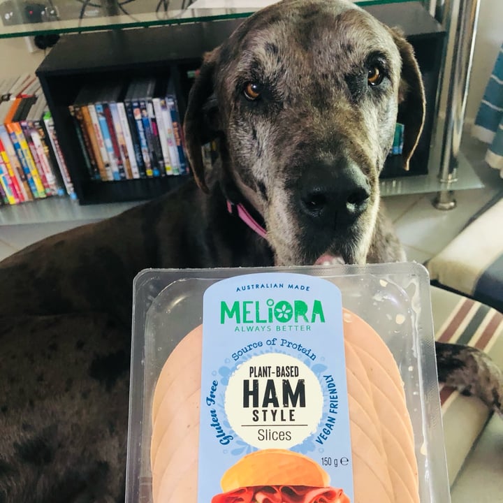Meliora PlantBased Ham Style Slices Review abillion