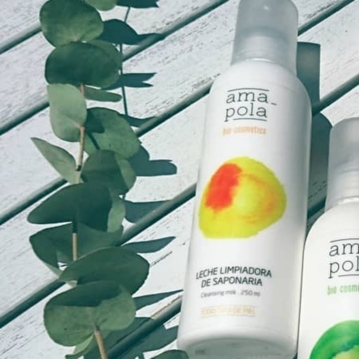 Amapola Bio Cosmetics Leche de saponaria Review abillion