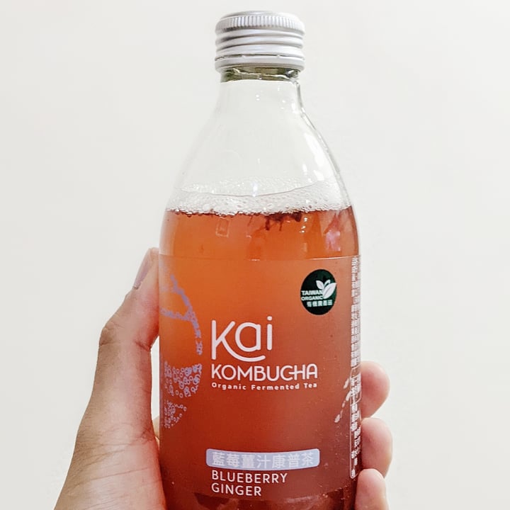 Kai Kombucha Blueberry Ginger Kombucha Reviews abillion